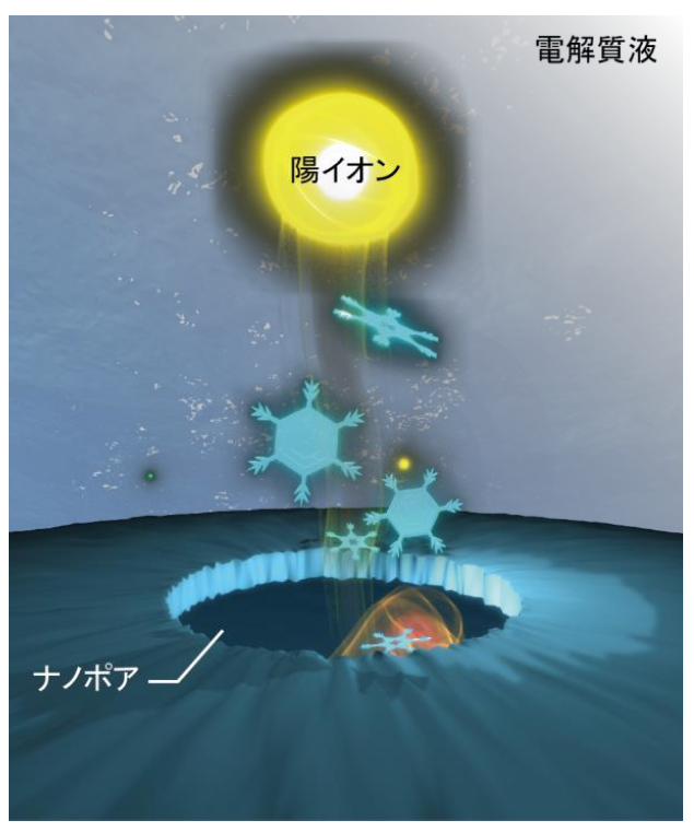 20231206_1_1.png